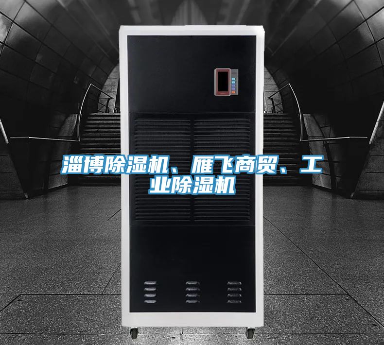 淄博除濕機(jī)、雁飛商貿(mào)、工業(yè)除濕機(jī)