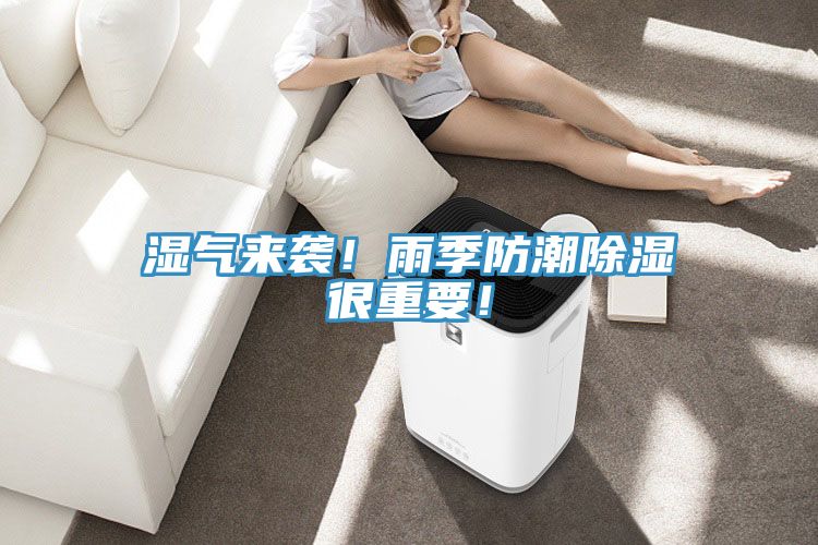 濕氣來(lái)襲！雨季防潮除濕很重要！