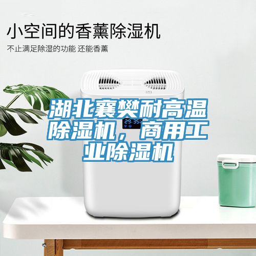 湖北襄樊耐高溫除濕機(jī)，商用工業(yè)除濕機(jī)