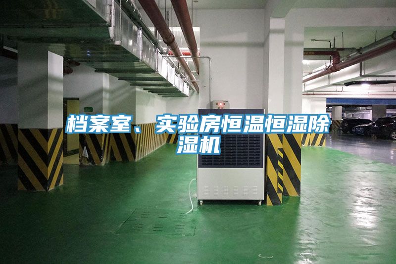檔案室、實(shí)驗(yàn)房恒溫恒濕除濕機(jī)