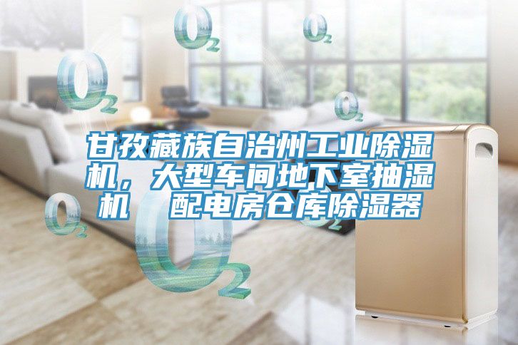 甘孜藏族自治州工業(yè)除濕機(jī)，大型車間地下室抽濕機(jī)  配電房倉庫除濕器