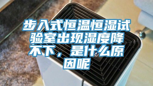 步入式恒溫恒濕試驗室出現濕度降不下，是什么原因呢