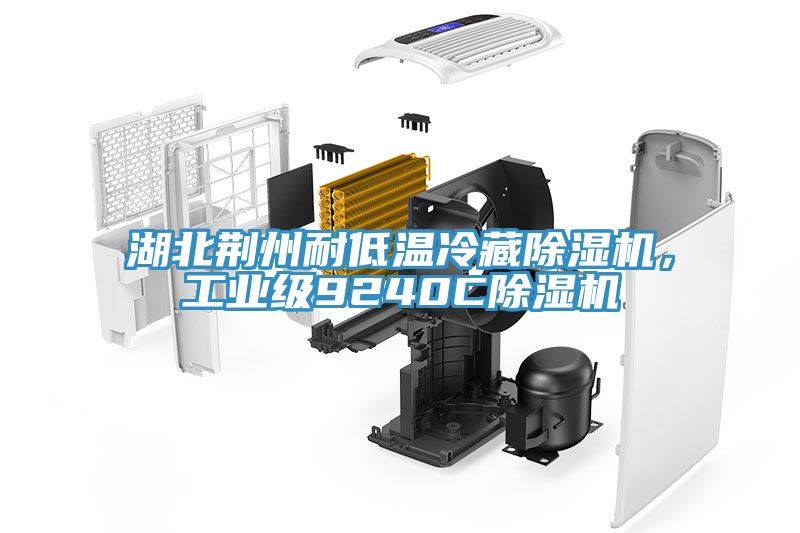 湖北荊州耐低溫冷藏除濕機(jī)，工業(yè)級9240C除濕機(jī)