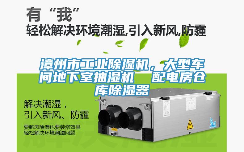 漳州市工業(yè)除濕機(jī)，大型車間地下室抽濕機(jī)  配電房倉庫除濕器