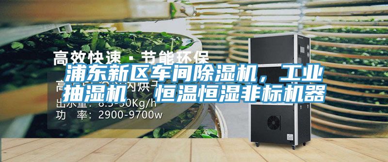 浦東新區(qū)車間除濕機，工業(yè)抽濕機  恒溫恒濕非標(biāo)機器
