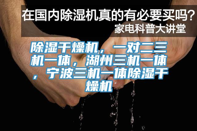除濕干燥機，一對二三機一體，湖州三機一體，寧波三機一體除濕干燥機