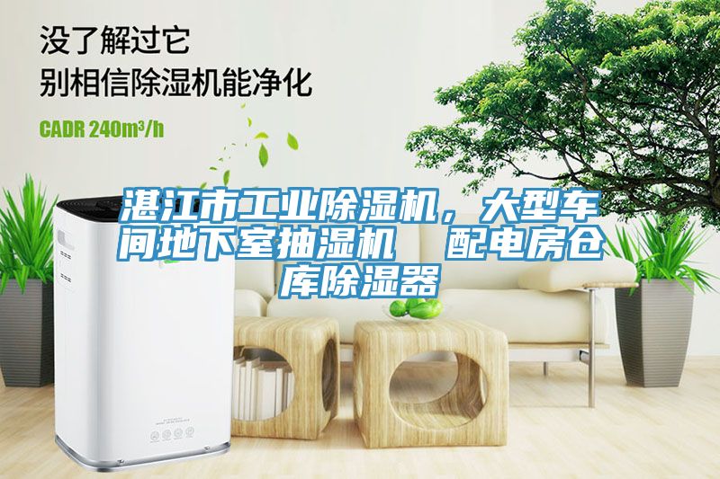 湛江市工業(yè)除濕機(jī)，大型車間地下室抽濕機(jī)  配電房倉(cāng)庫(kù)除濕器
