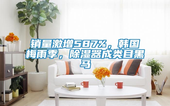 銷量激增587%，韓國梅雨季，除濕器成類目黑馬