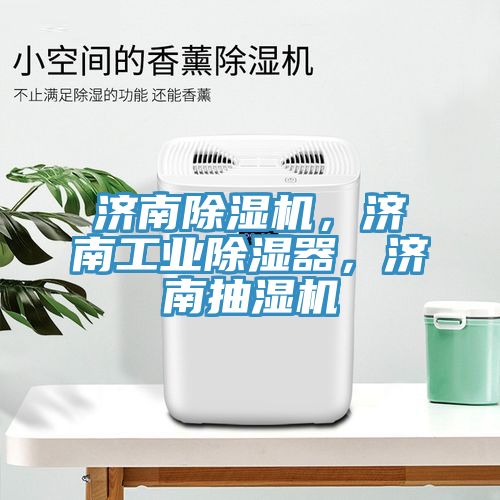 濟南除濕機，濟南工業(yè)除濕器，濟南抽濕機