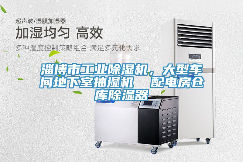 淄博市工業(yè)除濕機，大型車間地下室抽濕機  配電房倉庫除濕器