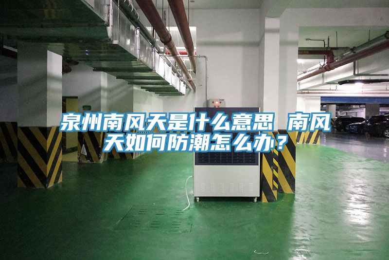 泉州南風(fēng)天是什么意思 南風(fēng)天如何防潮怎么辦？