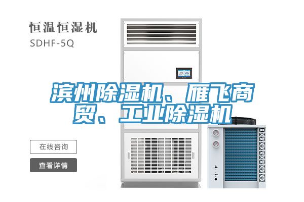 濱州除濕機(jī)、雁飛商貿(mào)、工業(yè)除濕機(jī)