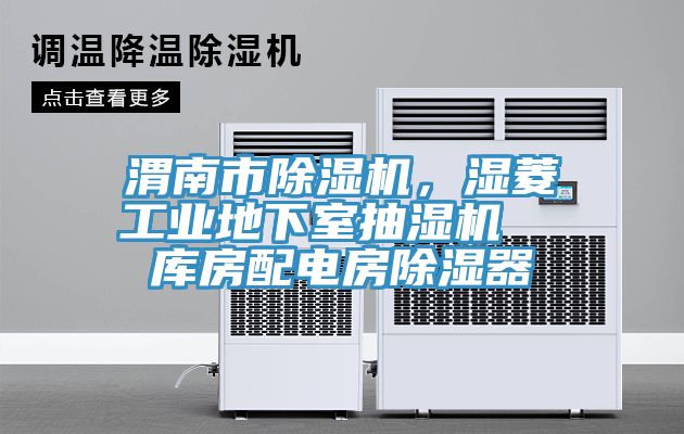 渭南市除濕機(jī)，濕菱工業(yè)地下室抽濕機(jī)  庫房配電房除濕器