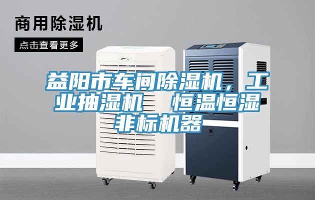 益陽市車間除濕機(jī)，工業(yè)抽濕機(jī)  恒溫恒濕非標(biāo)機(jī)器