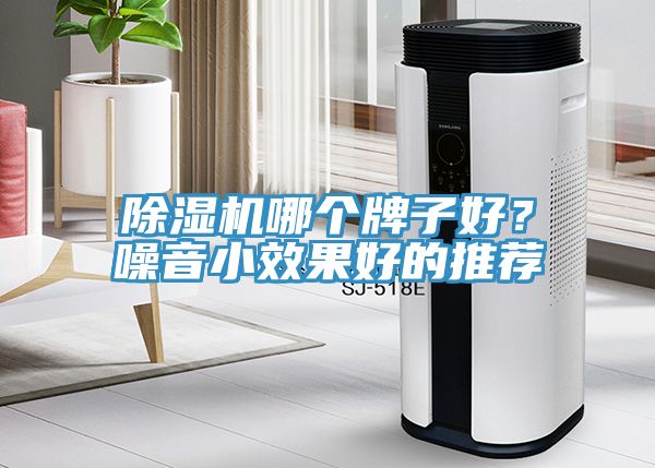 除濕機(jī)哪個牌子好？噪音小效果好的推薦