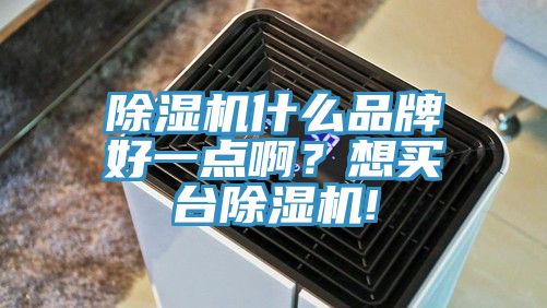 除濕機(jī)什么品牌好一點啊？想買臺除濕機(jī)!
