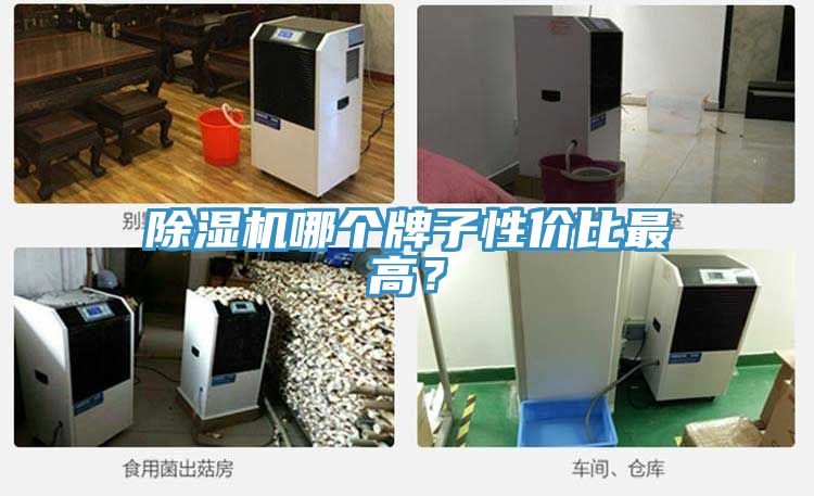 除濕機(jī)哪個牌子性價比最高？