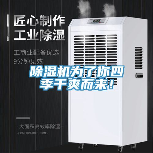 除濕機為了你四季干爽而來！