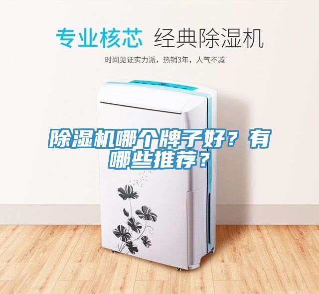 除濕機(jī)哪個牌子好？有哪些推薦？
