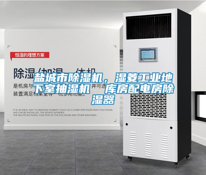 鹽城市除濕機(jī)，濕菱工業(yè)地下室抽濕機(jī)  庫房配電房除濕器