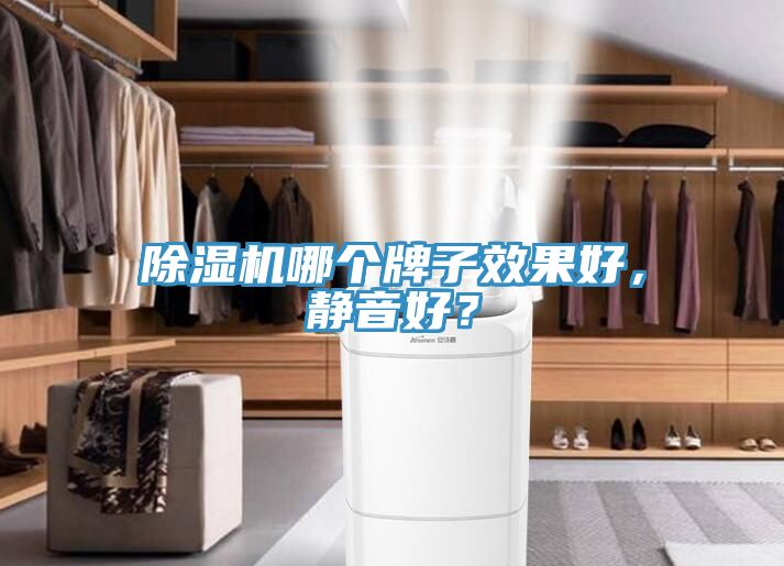 除濕機(jī)哪個(gè)牌子效果好，靜音好？