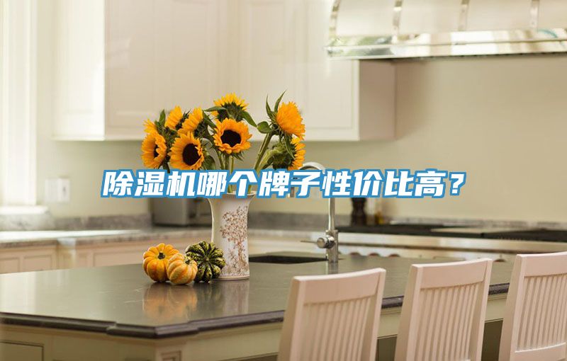 除濕機(jī)哪個牌子性價比高？
