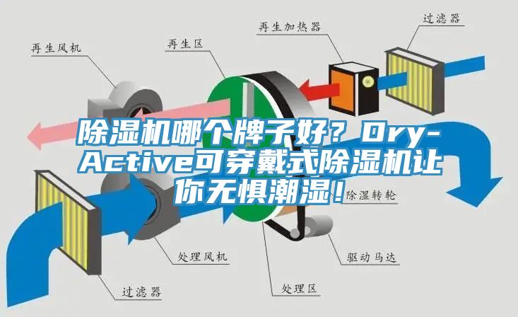 除濕機(jī)哪個牌子好？Dry-Active可穿戴式除濕機(jī)讓你無懼潮濕！