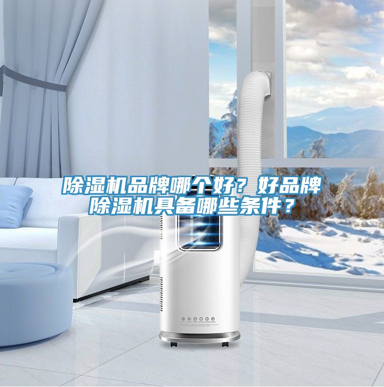 除濕機品牌哪個好？好品牌除濕機具備哪些條件？