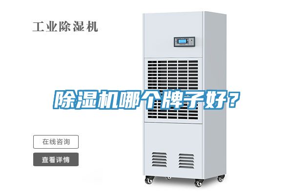 除濕機(jī)哪個牌子好？
