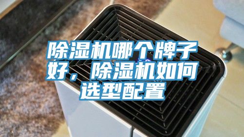 除濕機(jī)哪個牌子好，除濕機(jī)如何選型配置