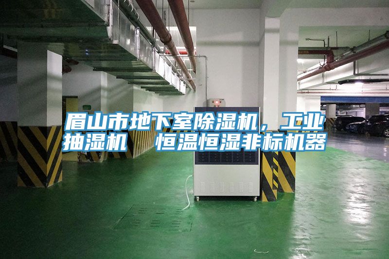 眉山市地下室除濕機，工業(yè)抽濕機  恒溫恒濕非標機器
