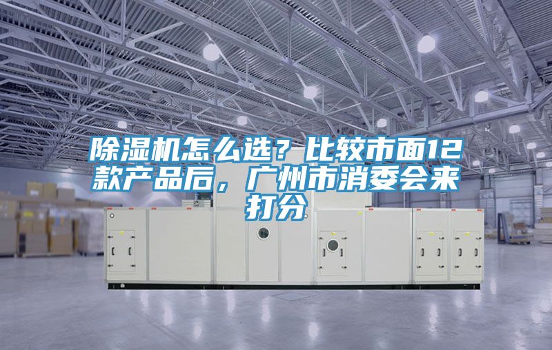 除濕機怎么選？比較市面12款產品后，廣州市消委會來打分