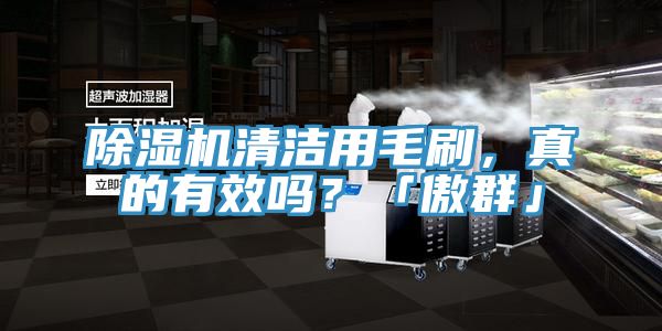 除濕機(jī)清潔用毛刷，真的有效嗎？「傲群」