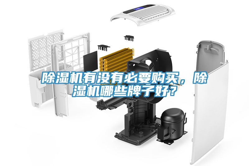除濕機(jī)有沒有必要購(gòu)買，除濕機(jī)哪些牌子好？