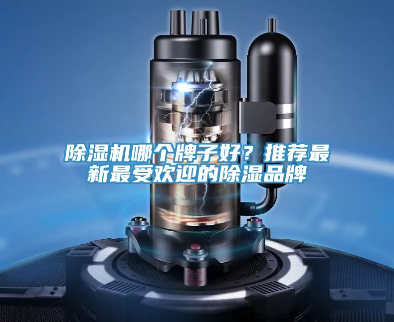 除濕機(jī)哪個(gè)牌子好？推薦最新最受歡迎的除濕品牌
