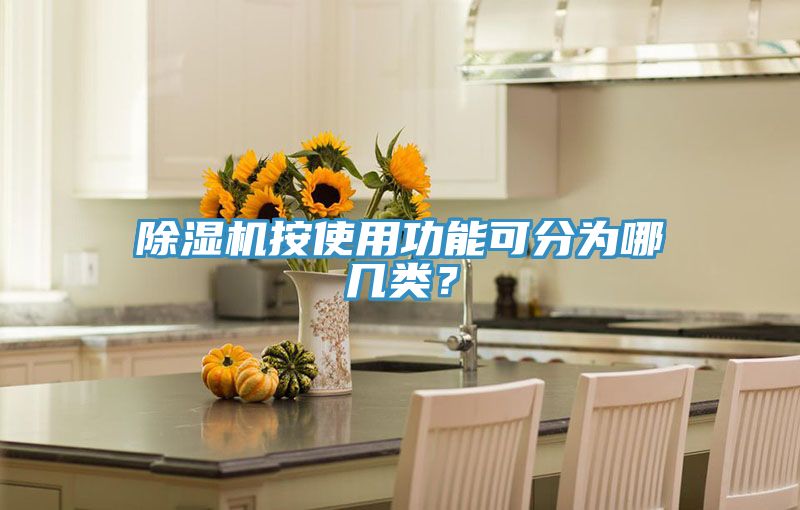 除濕機(jī)按使用功能可分為哪幾類？