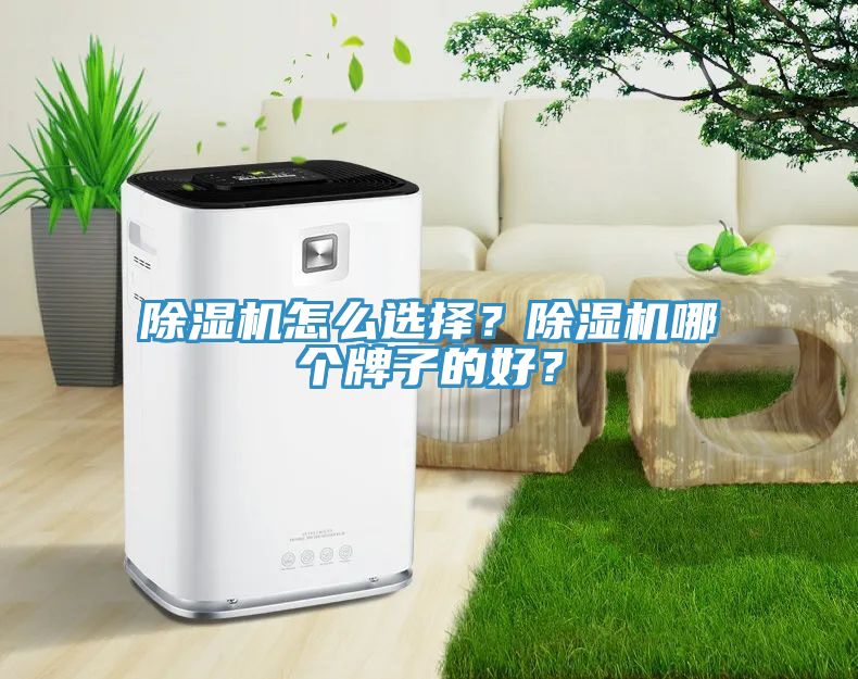 除濕機(jī)怎么選擇？除濕機(jī)哪個牌子的好？