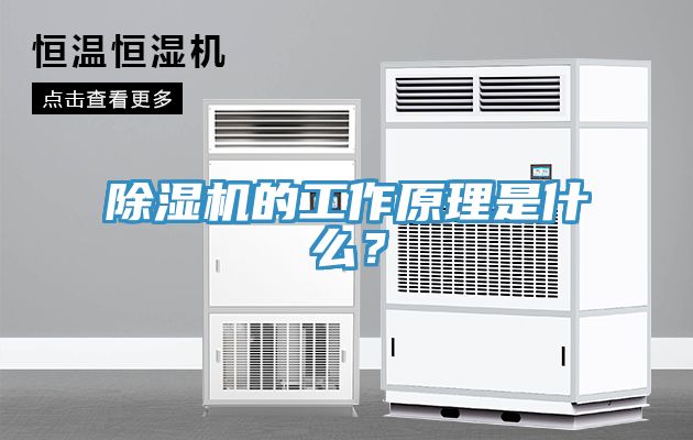 除濕機(jī)的工作原理是什么？