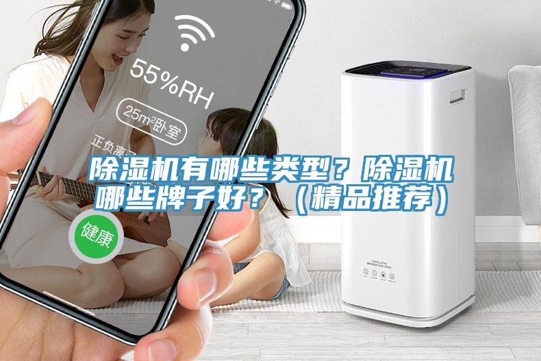 除濕機有哪些類型？除濕機哪些牌子好？（精品推薦）