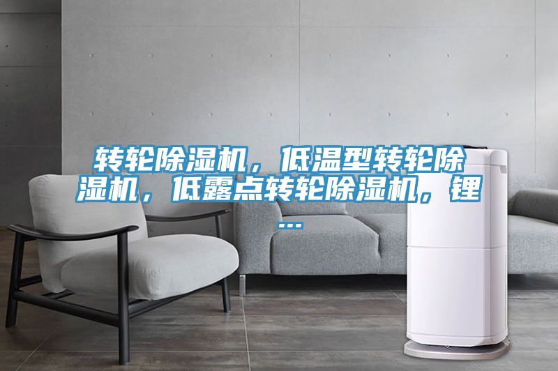 轉(zhuǎn)輪除濕機，低溫型轉(zhuǎn)輪除濕機，低露點轉(zhuǎn)輪除濕機，鋰 ...